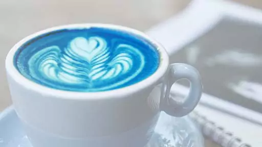 Cappuccino azul